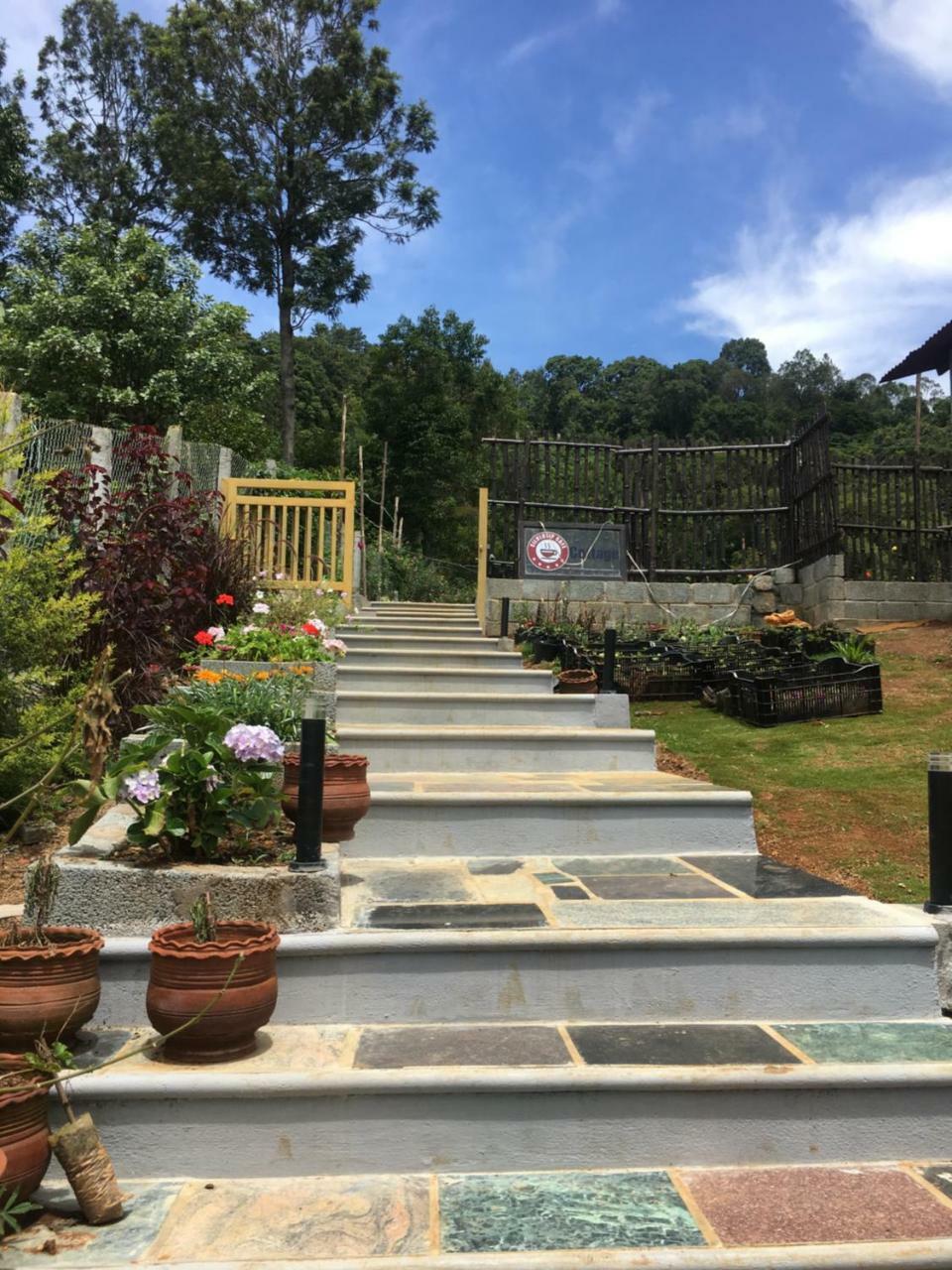 كوتاغيري Silvertip Cafe & Homestay المظهر الخارجي الصورة